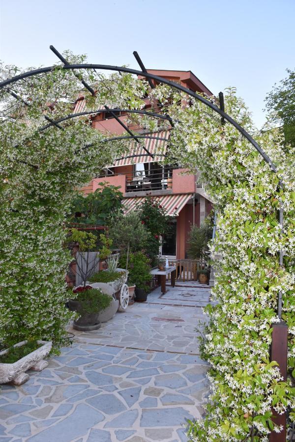 Apartments Scepanovic Tivat Exterior photo